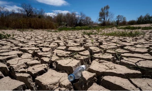 Global heating likely to hit world food supply before 1.5C, says UN expert