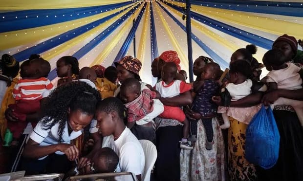 ‘Safe and effective’: first malaria vaccine to be rolled out in 12 African countries