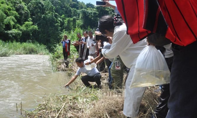 RELEASE OF FINGERLINGS INTO DIKHU RIVER (GREEN ZONE)