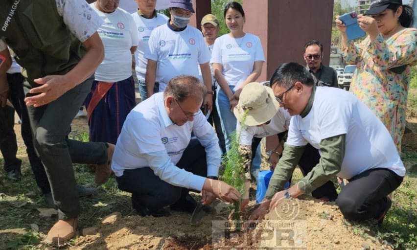 WORLD ENVIRONMENT DAY CELEBRATED ACROSS NAGALAND
