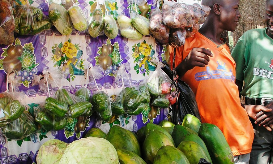 ‘From farm to plate’, first-ever World Food Safety Day demonstrates the need to take unsafe food off the menu