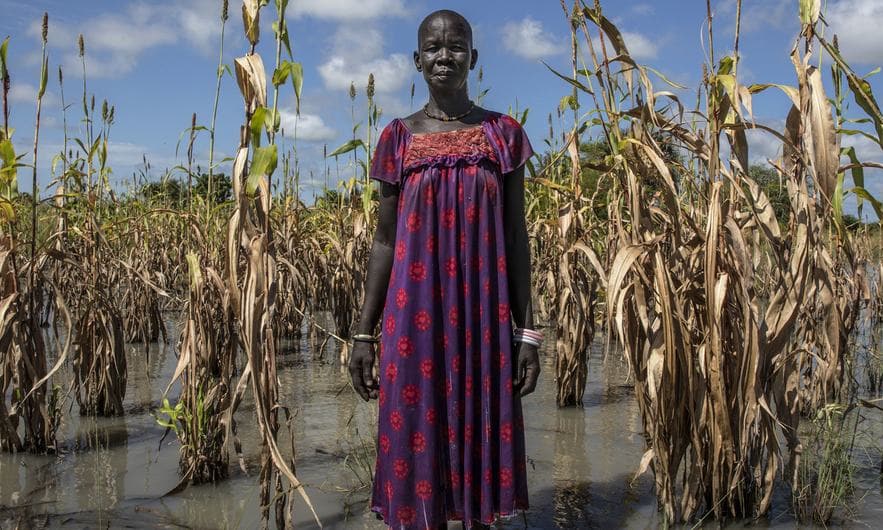Hunger afflicts one in ten globally, UN report finds