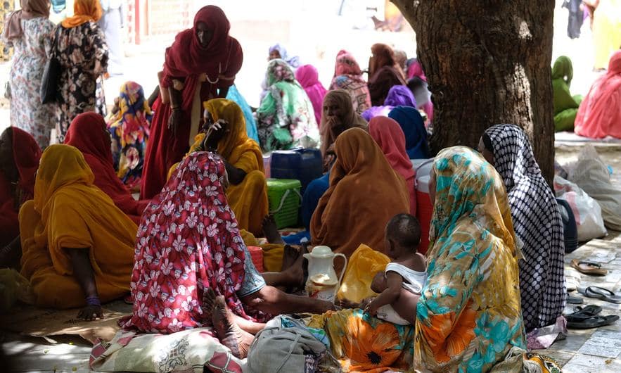 FAO raises alarm on escalating food crisis in Sudan  